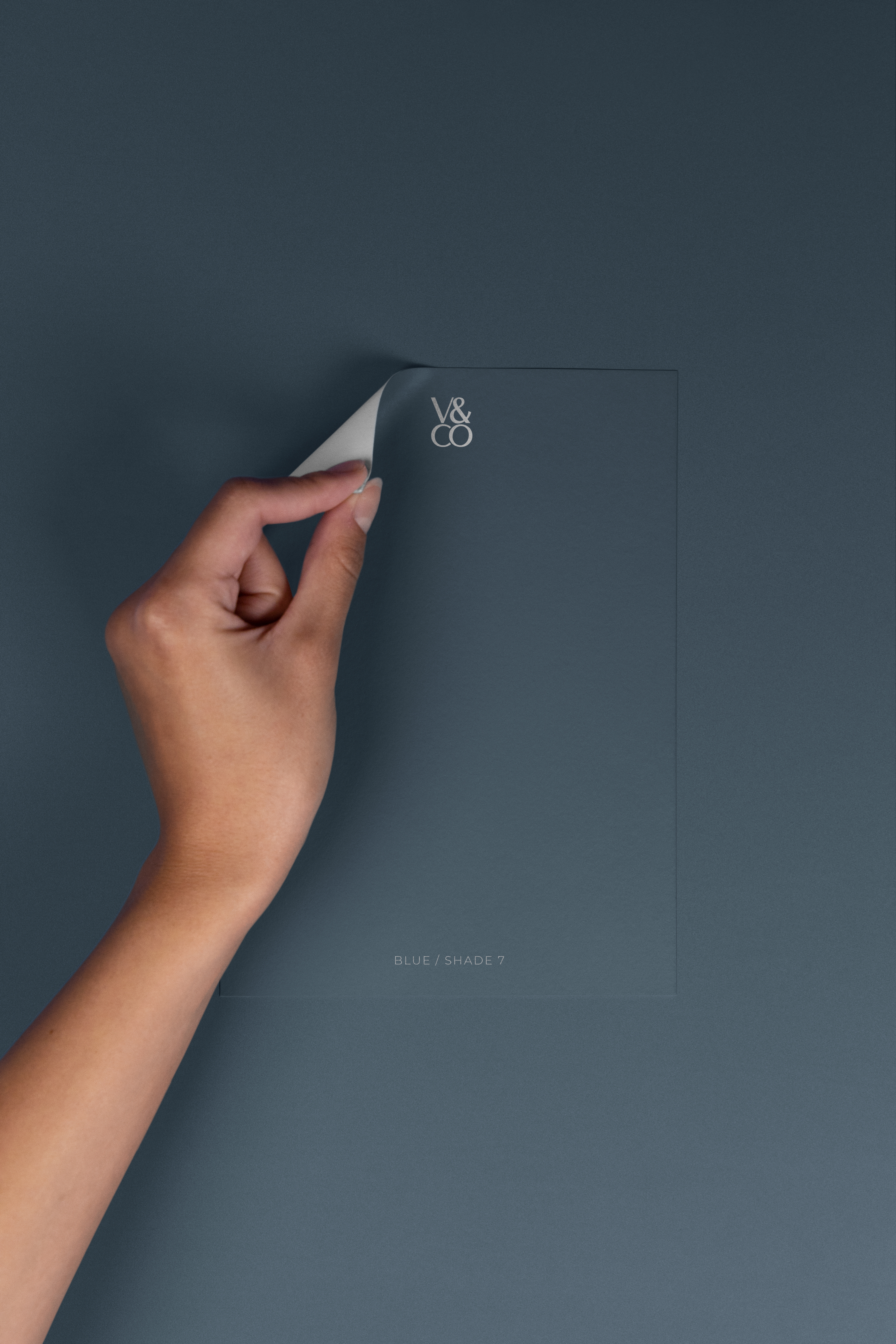 Peel & Stick Colour Samples