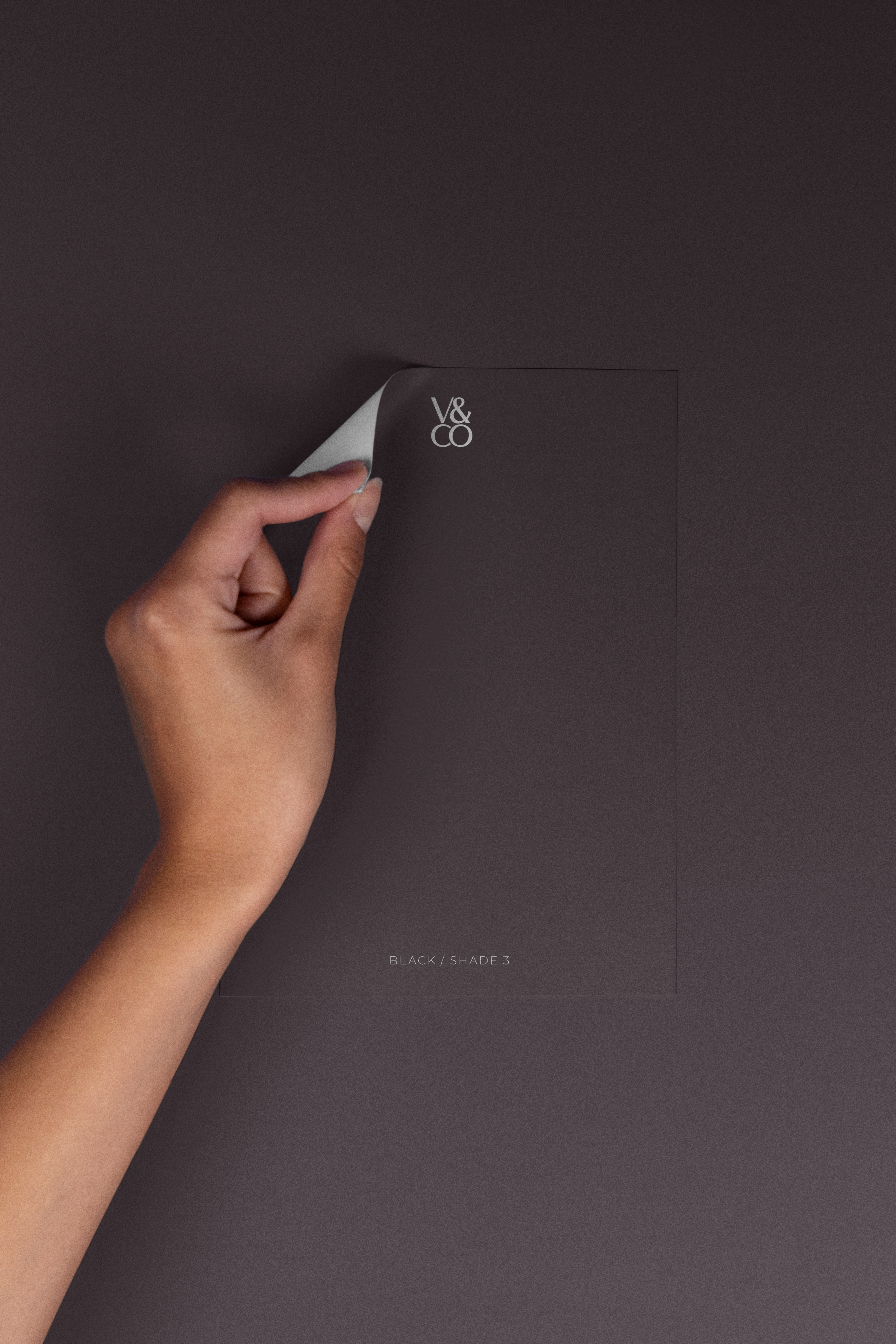 Peel & Stick Colour Samples