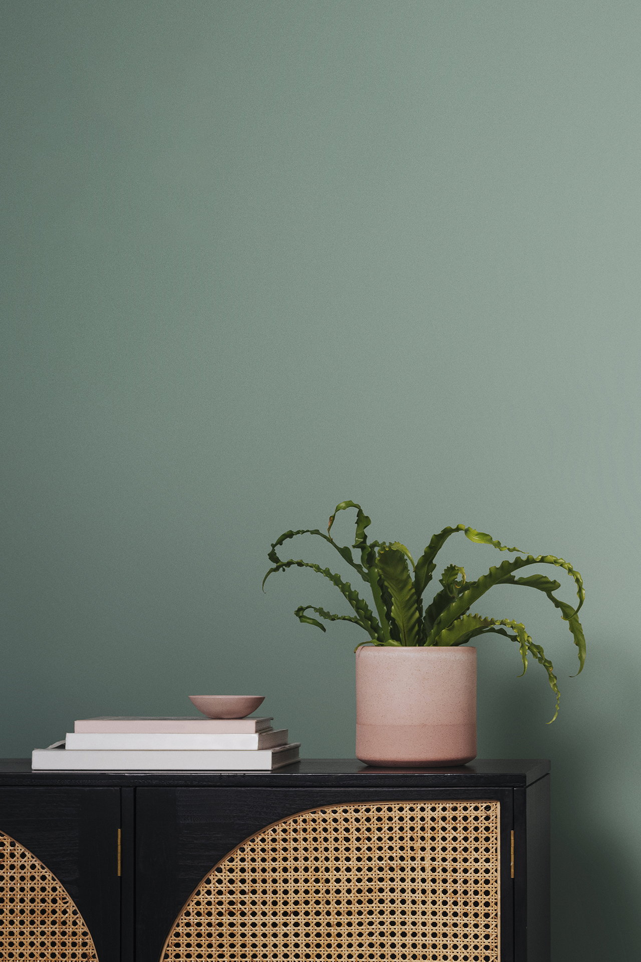 Plant on side cabinet in front of green wall